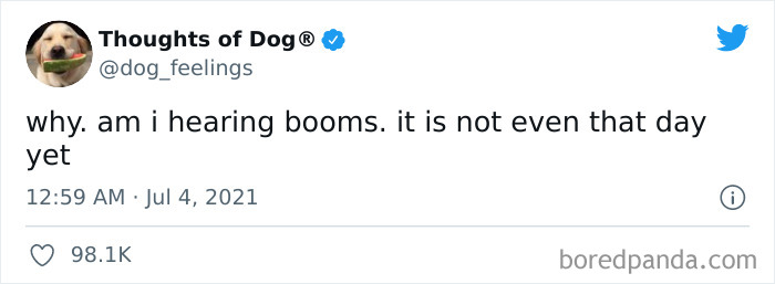 Funny-Tweets-Thoughts-Of-Dog