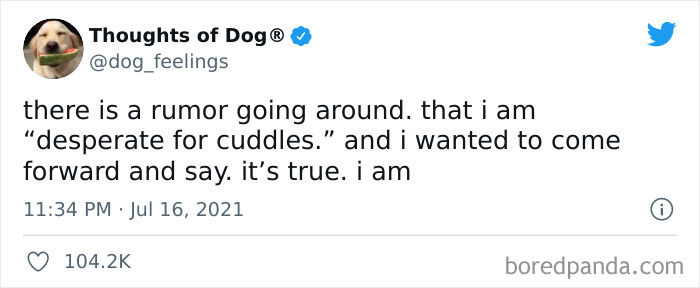 Funny-Tweets-Thoughts-Of-Dog