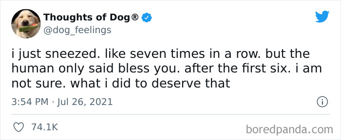 Funny-Tweets-Thoughts-Of-Dog