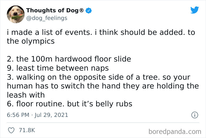 Funny-Tweets-Thoughts-Of-Dog