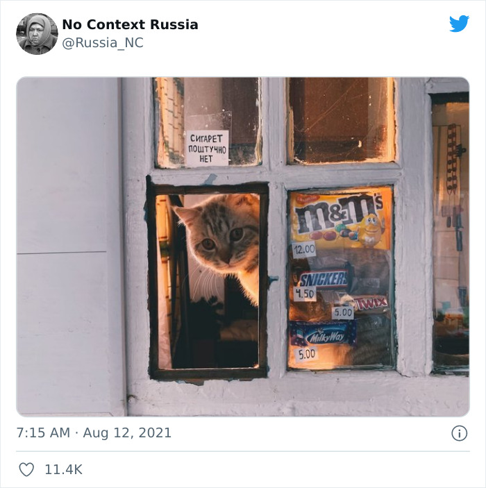 No-Context-Russia-Pics