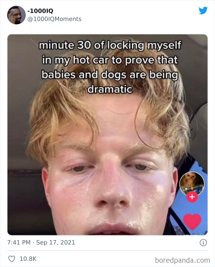 Dumb-Moments-Twitter