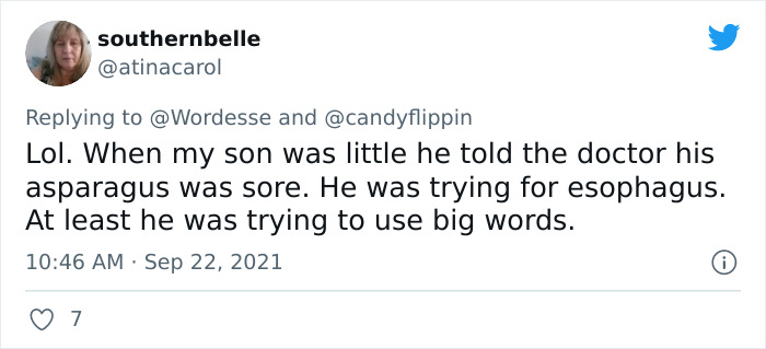 Tweet showing a parent sharing a funny story of their kid using alternative names and big words for everyday things.
