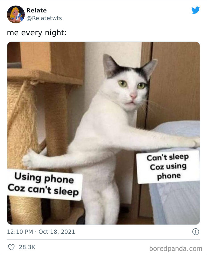 Relatable-Funny-Tweets