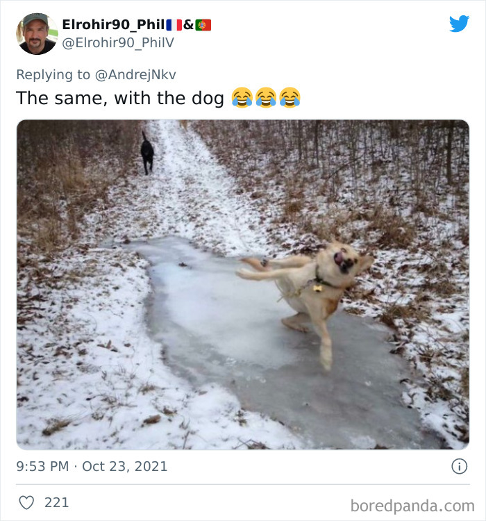 The Same, With The Dog