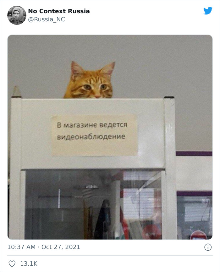 No-Context-Russia-Pics