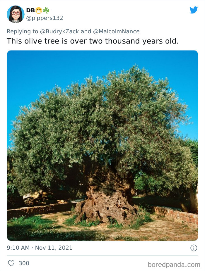 Interesting-Historical-Overlaps-Changed-Peoples-Perspective