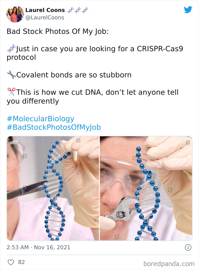 Bad Stock Photos Of My Job