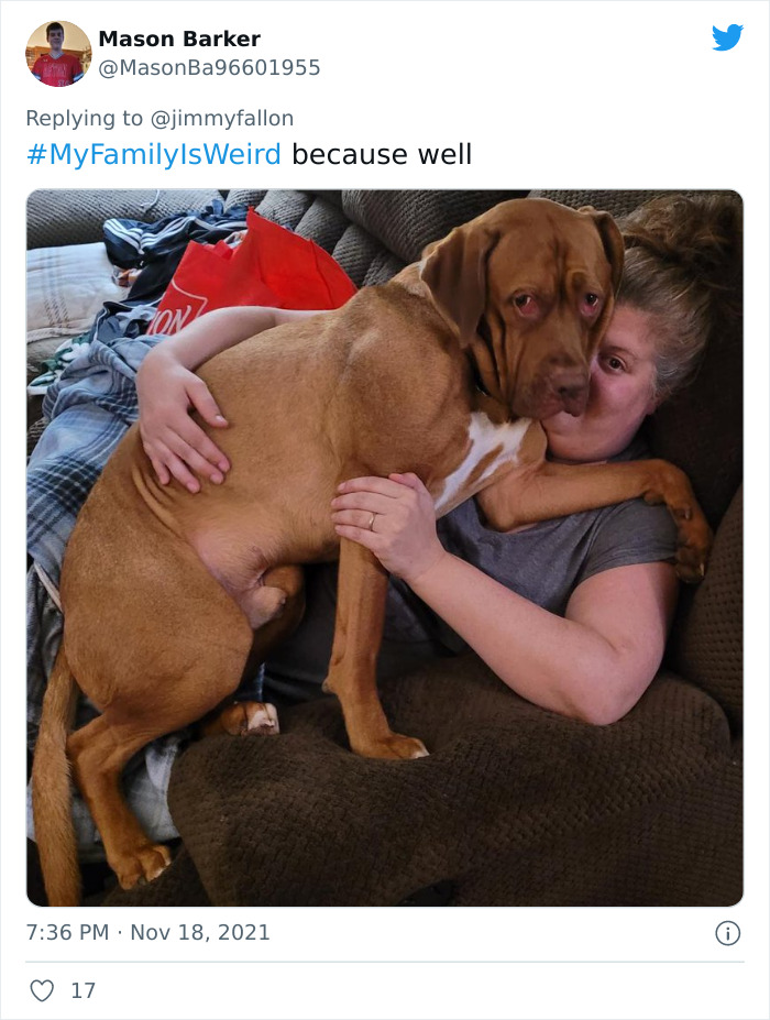 Weird-Family-Tweets-Jimmy-Fallon