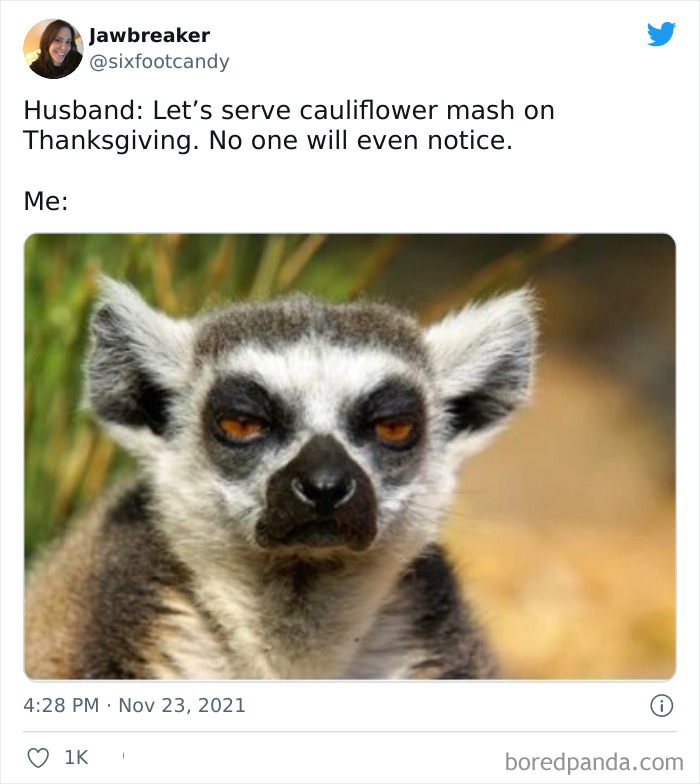Lemur with unimpressed expression reflecting funny Thanksgiving meme about cauliflower mash.