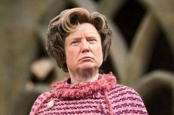 Perfect. Professor Umbridge + Donald Trump