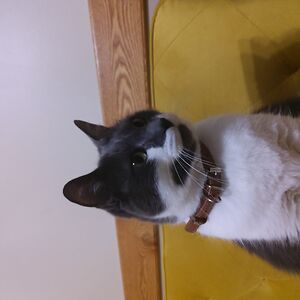 michaelphillips_2 avatar