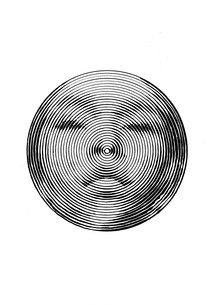 31 Circles, 1 Face
