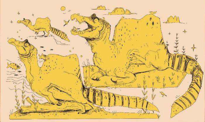 My Favorite Dinosaurs Are T-Rex, Spinosaurus, And Fukuiraptor