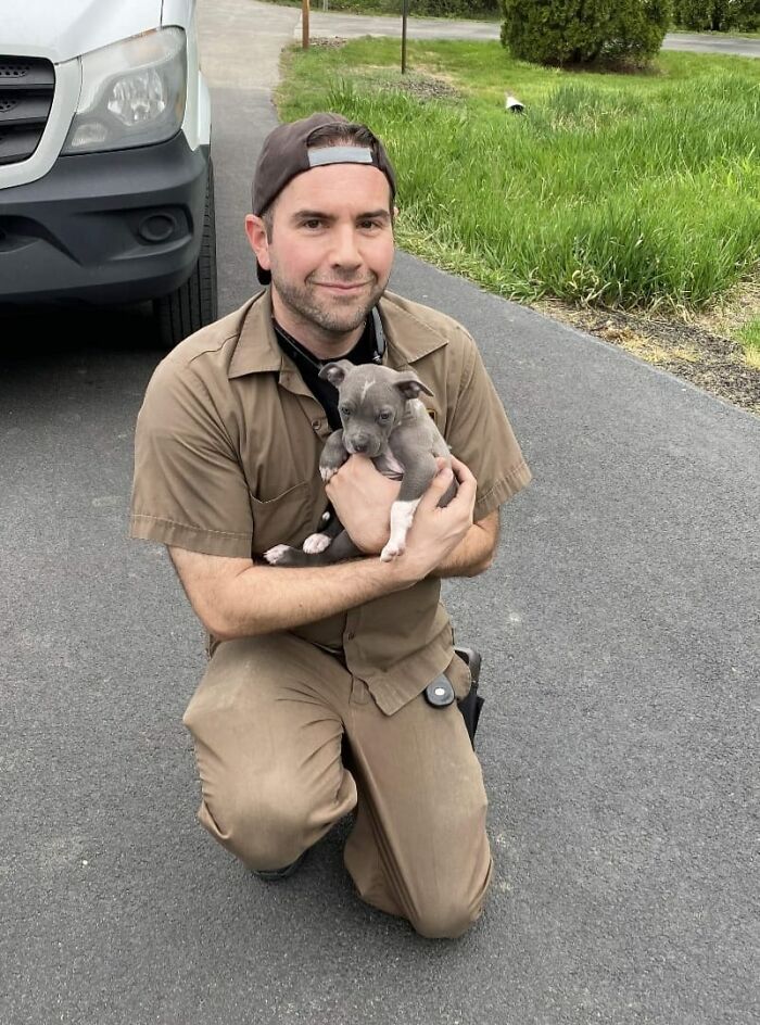 UPS driver kneeling beside delivery truck, holding a small gray puppy, smiling on a suburban street.
