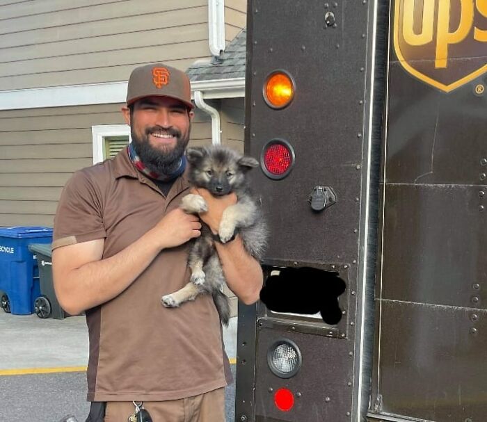 UPS driver holding a fluffy puppy next to a delivery truck, smiling during his dog-friendly route.