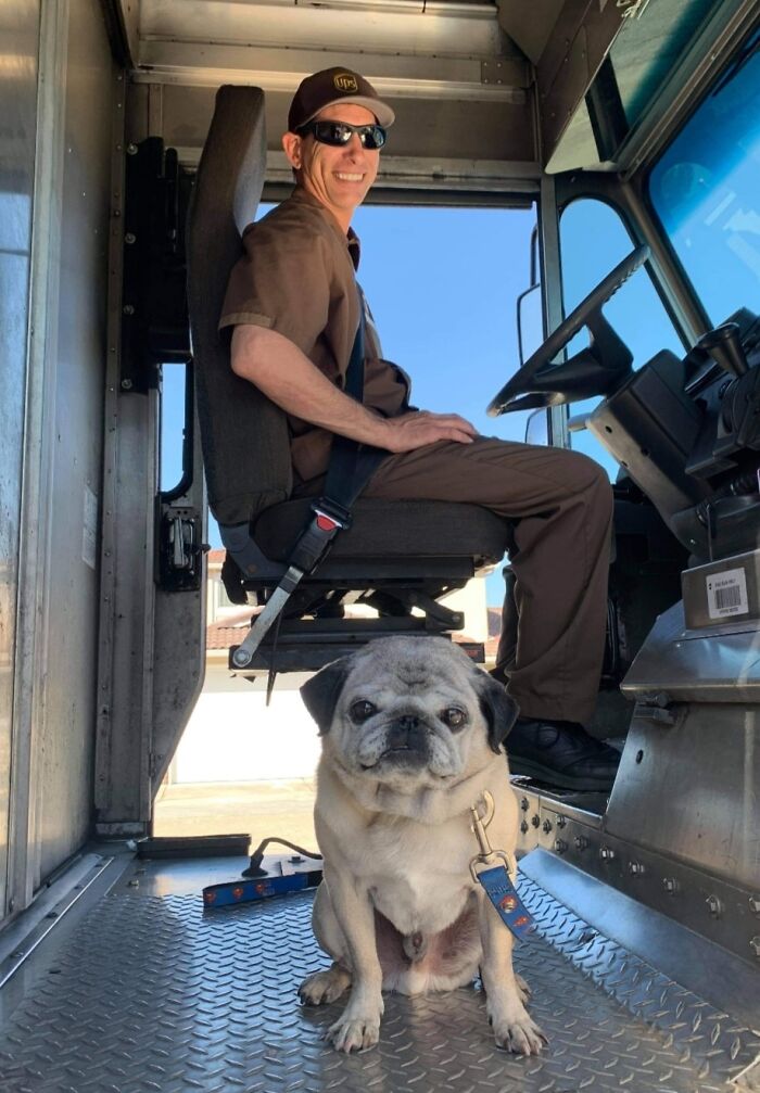 UPS driver sitting in truck with a pug dog inside, part of a Facebook group about dogs they meet on routes.