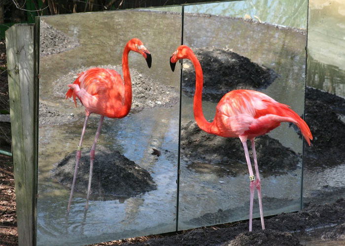 "Hoy aprendí": 30 datos que demuestran que nunca es tarde para aprender (nuevas fotos)