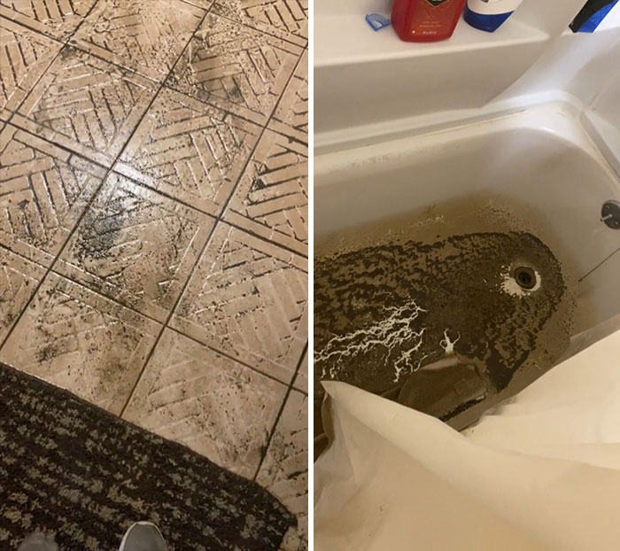 So My Apartment Flooded… And Guess What I Just Found Out On Top Of This… Renters Insurance Doesn’t Cover Flooding…