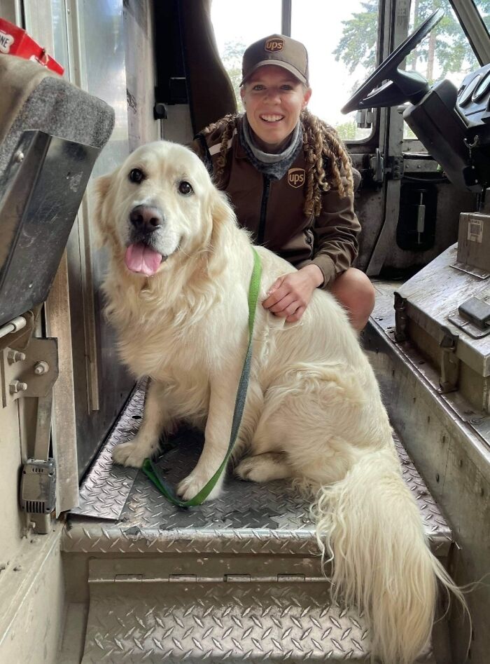 UPS driver sitting with a large, happy dog inside a delivery truck, showcasing the bond dogs on their routes create.