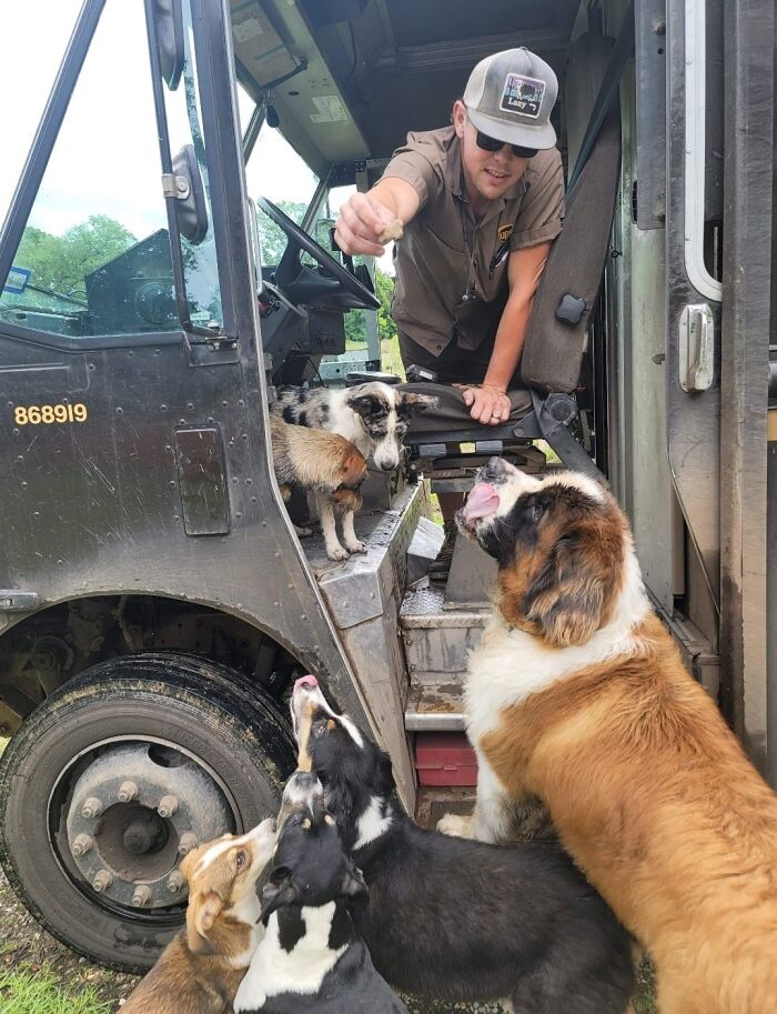 UPS driver giving treats to dogs gathered around his delivery truck on his delivery route.