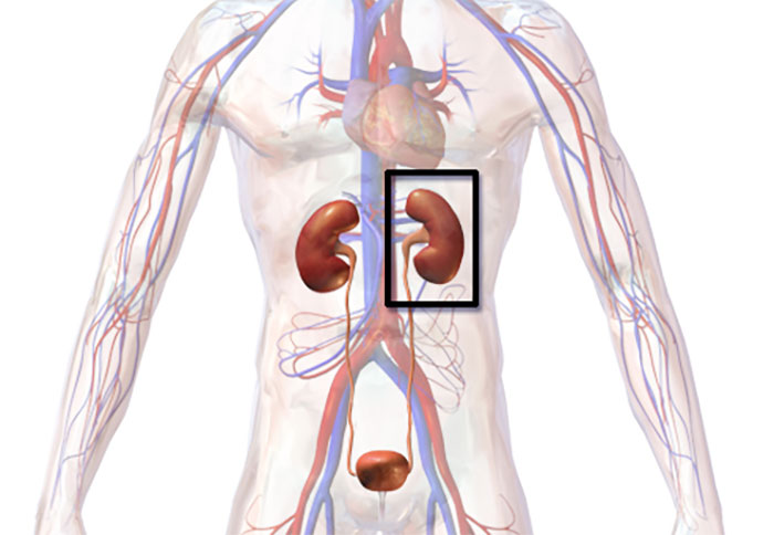 The More You Know: Internet Users Share 50 Cool Facts That Everyone Should Know