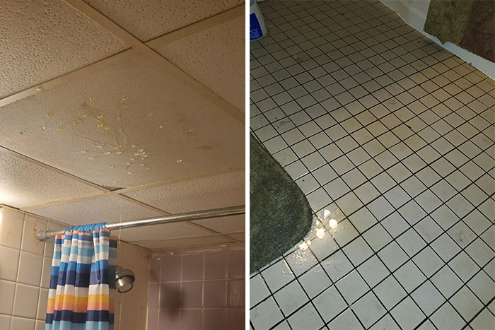 I Pay Rent Early Every Month Just For My Landlord To Never Be Available To Fix A Leaky Valve. He's Not Getting My Rent Until This S**t Is Fixed