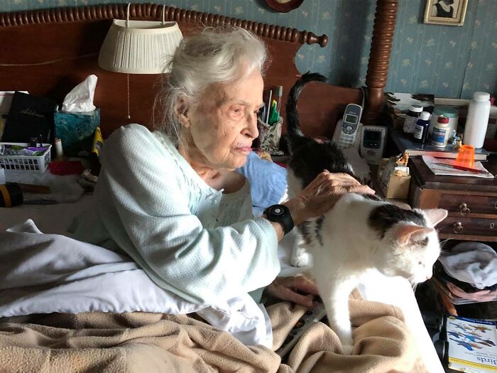 “Match Made in Heaven”: This Family Adopted The Oldest Cat In A Shelter For A 101-Year-Old Woman Looking For An Elderly Companion “Match Made in Heaven”: This Family Adopted The Oldest Cat In A Shelter For A 101-Year-Old Woman Looking For An Elderly Companion