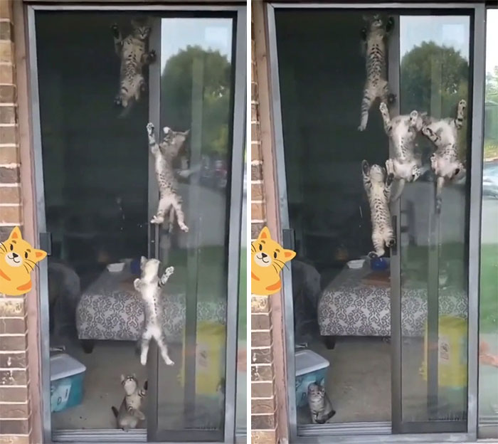 *Suena la canción de Misión Imposible* 