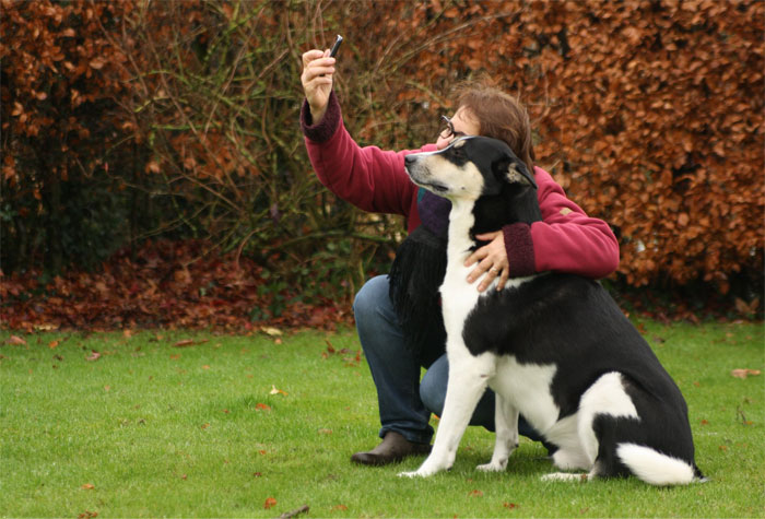 Person in red jacket taking a selfie with a large black and white dog on green grass outdoors in autumn.