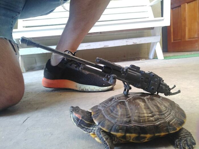 Animals With Powerful Aurasanimals With Powerful Auras