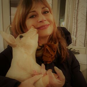 suzannewerbiski avatar