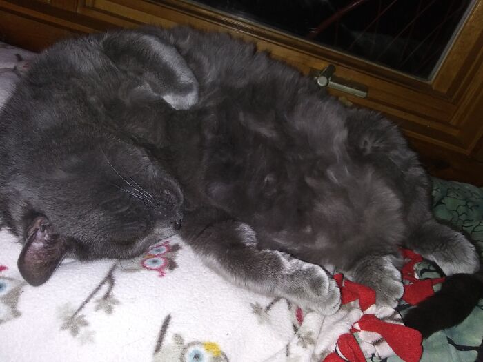 Tsar Ferdinand The Large, In Repose.