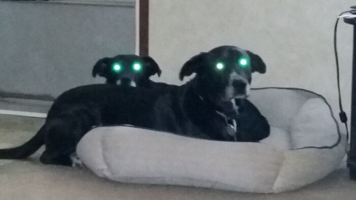 We've Come For Your Soul.