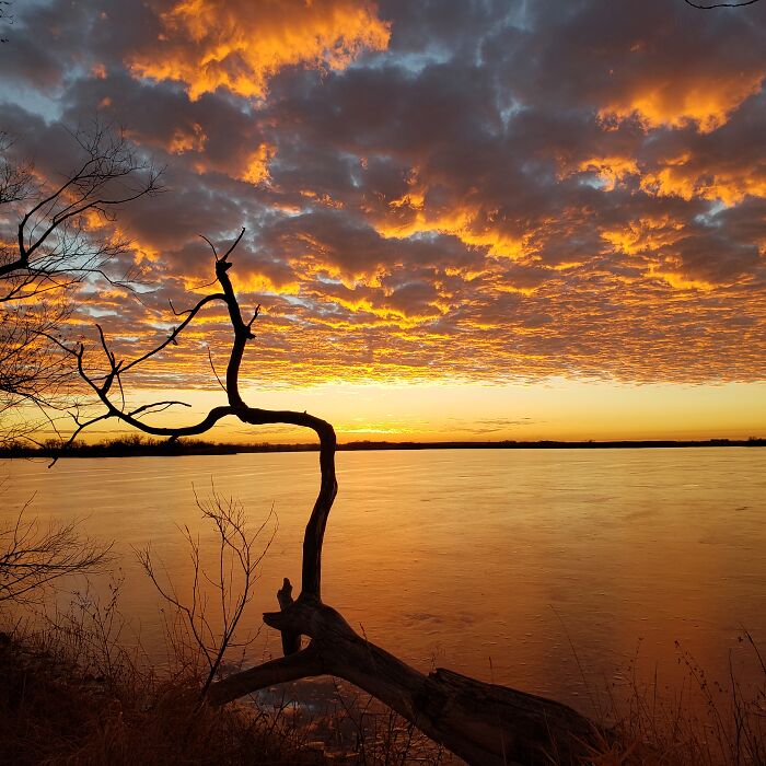At The Local State Park, Early December 2020