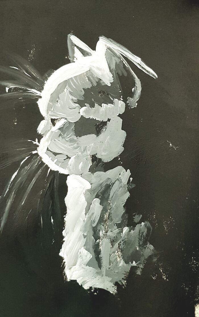 Princess Saffy Enjoying The Sunlight.