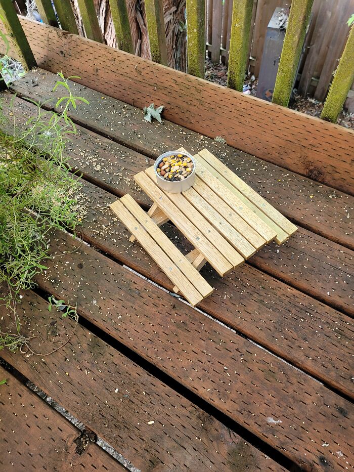 I Made A Mini Picnic Table For The Neighborhood Squirrels. I Used An Empty Catfood Can For A Bowl.