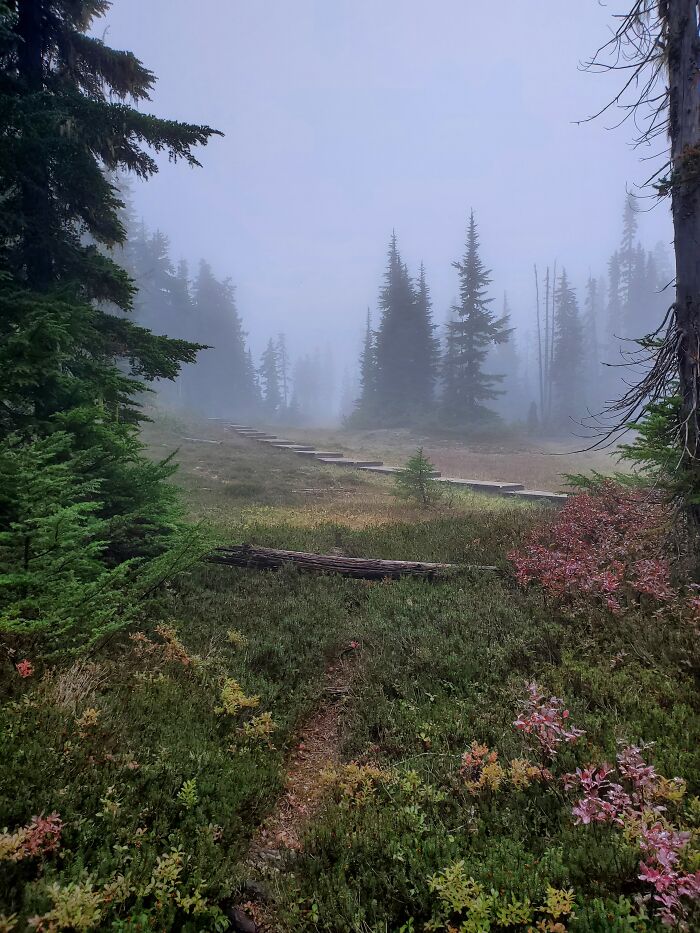 Paradise Meadows, Vancouver Island