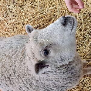 louise_cameron79 avatar