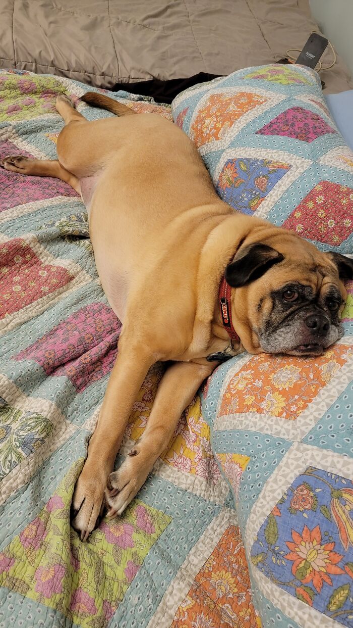 Oh, Hi. Just Preheating Your Spot For You.