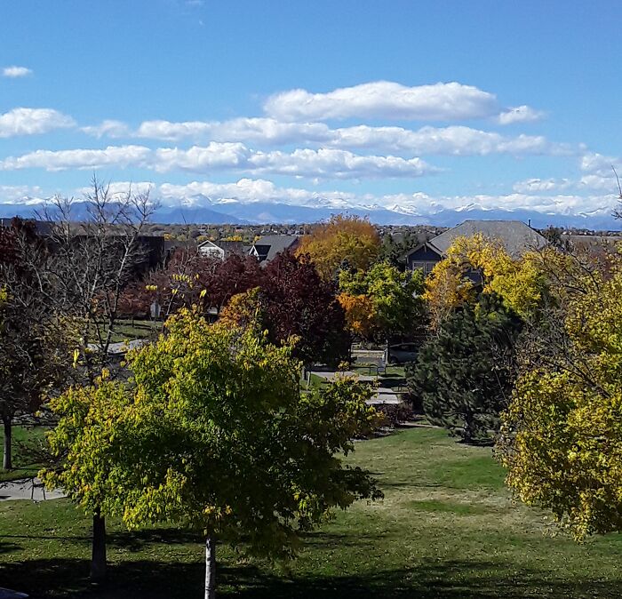 Touch Of Autumn In Colorado