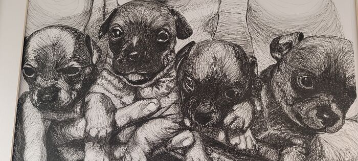 My Sweet Toodles. Took Almost 50 Hours, Ended Up Keeping The One On The Far Left And She Just Turned 10yrs Old!