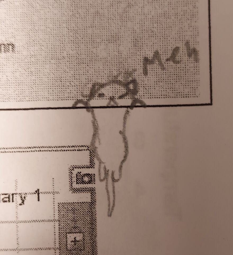 Depressed Cats: The Thing I Doodle