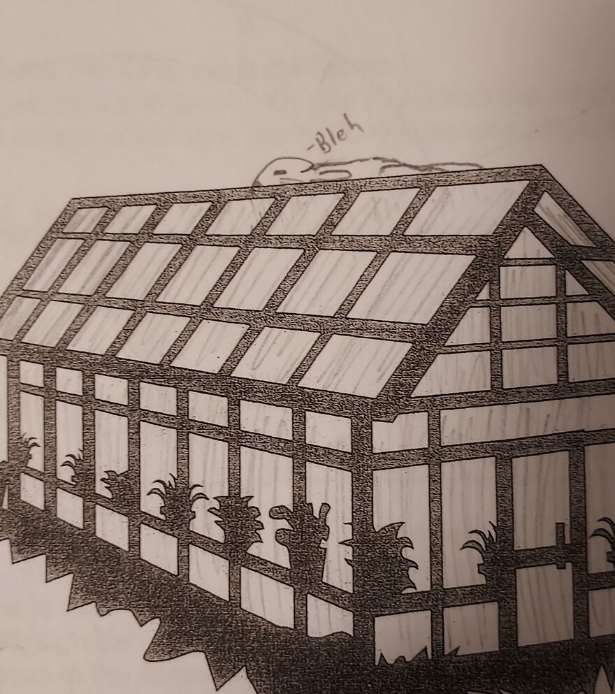 Depressed Cats: The Thing I Doodle