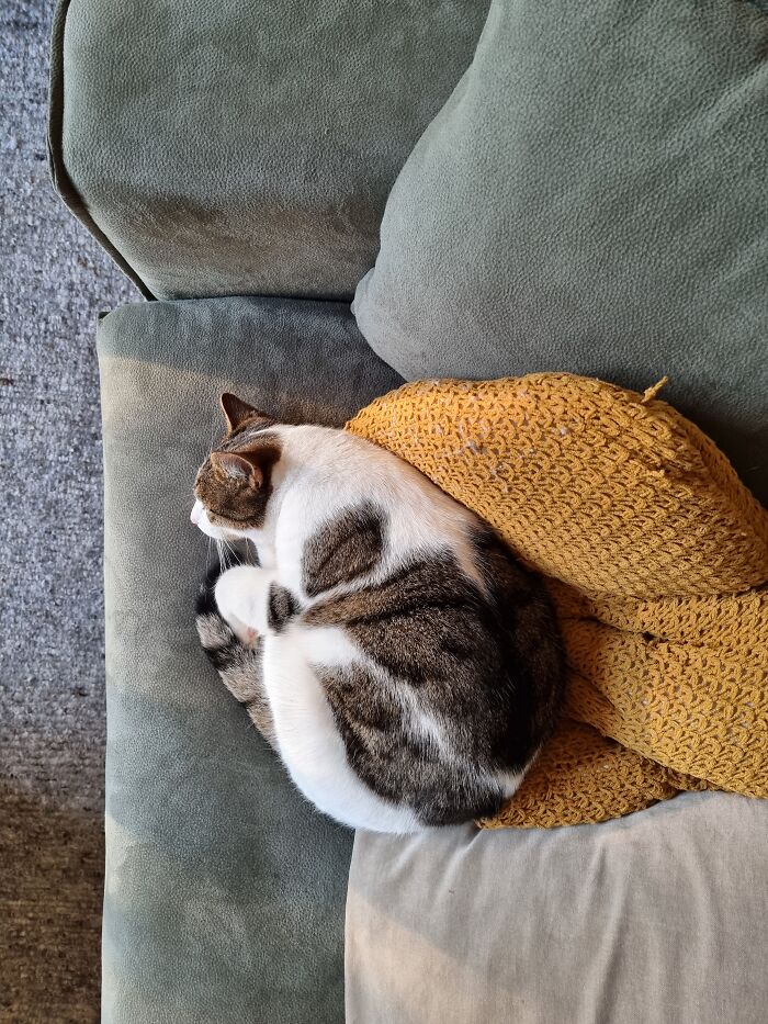 Top Down Pillow Camouflage