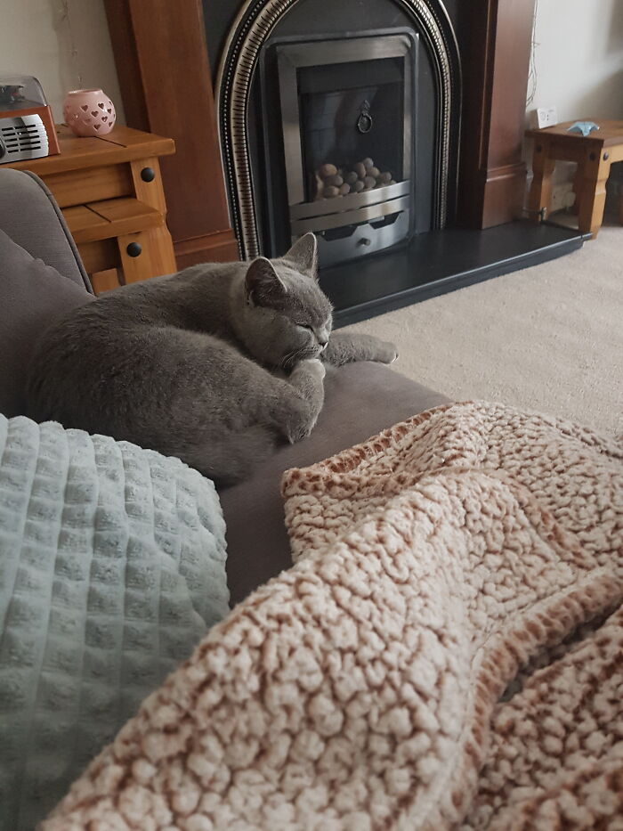 Meet Migi. She Likes Goat Milk.