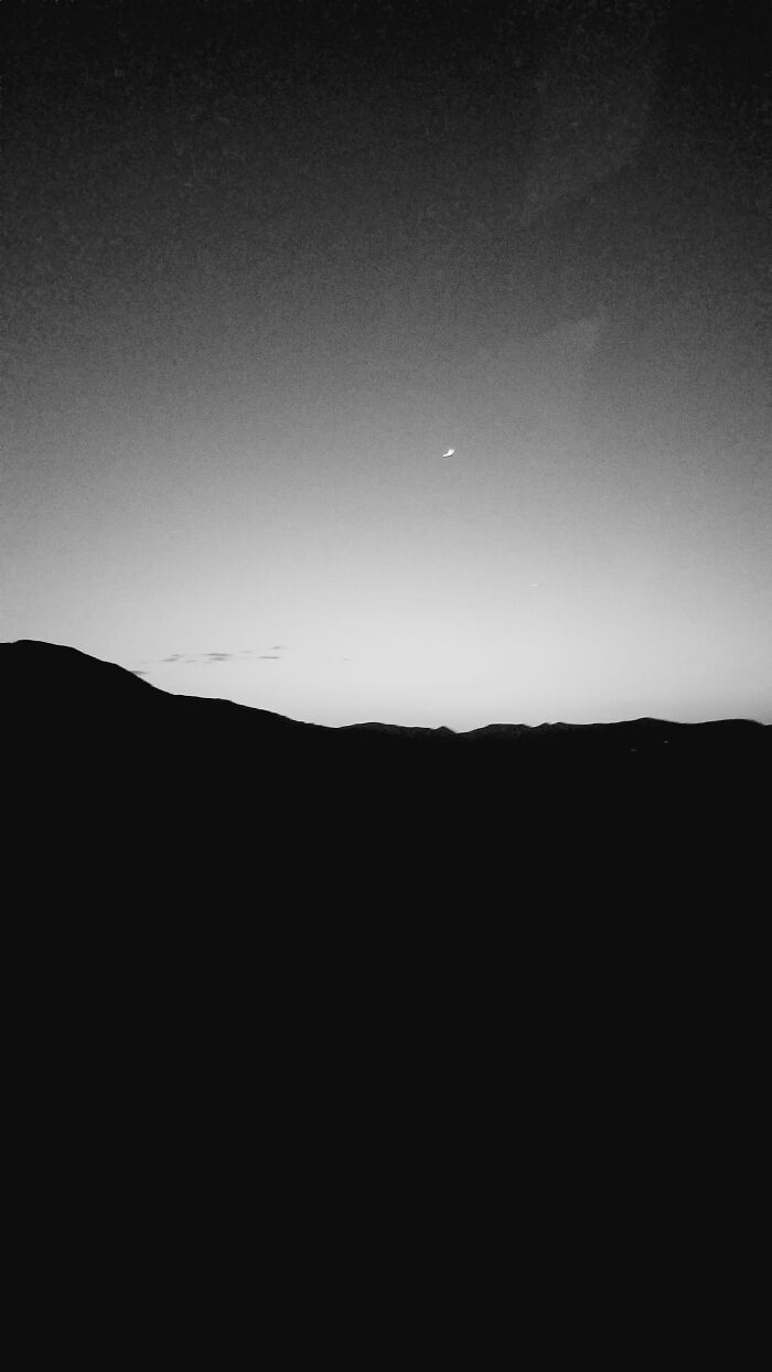 When I Was Going To Texas To Get A Puppy!