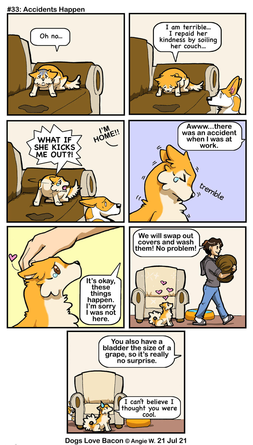 #33: Accidents Happen