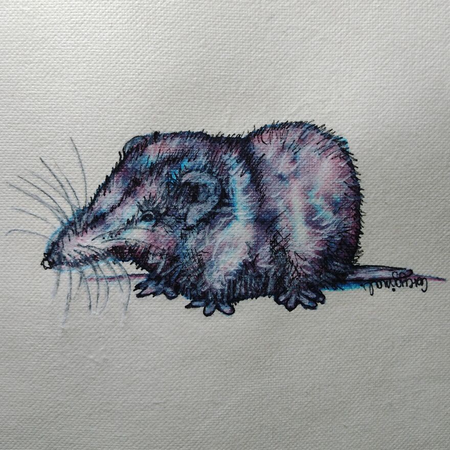 I Gave Myself An Extra Challenge For This Year's Inktober... I Gave Myself An Extra Challenge For This Year's Inktober...