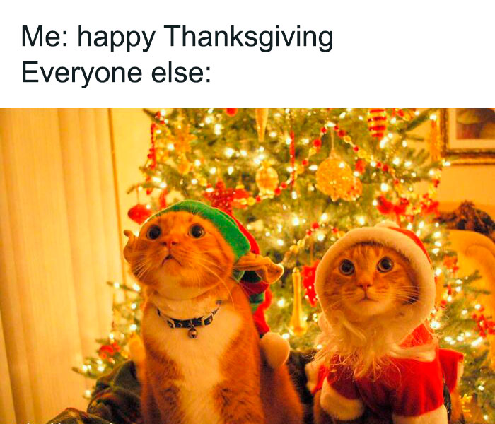 Funny-Thanksgiving-Memes-Jokes